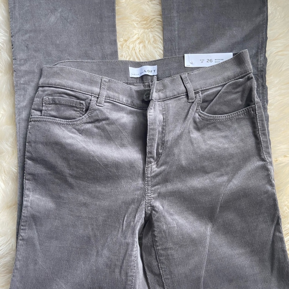 NWT Loft Morden Boot Corduroy pants
